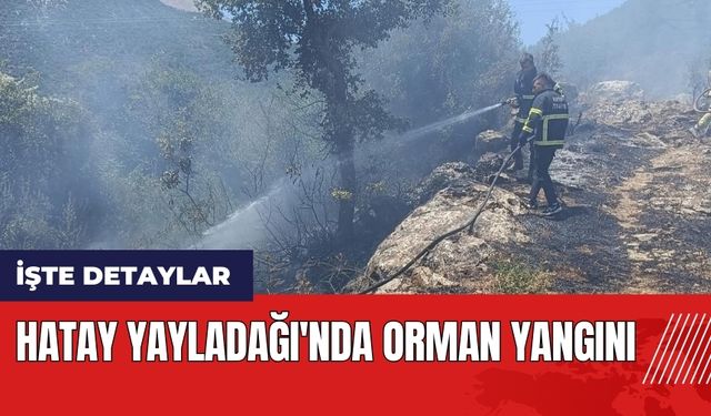 Hatay Yayladağı'nda orman yangını