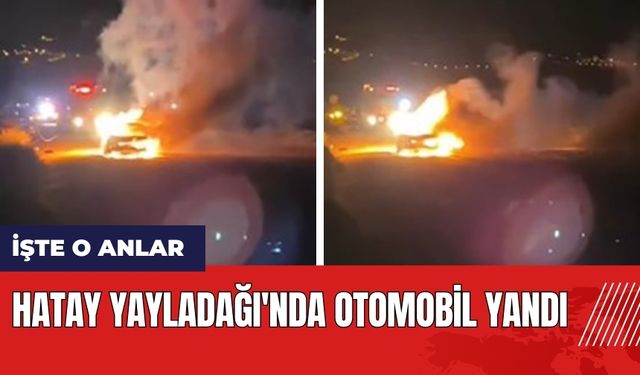 Hatay Yayladağı'nda otomobil yandı