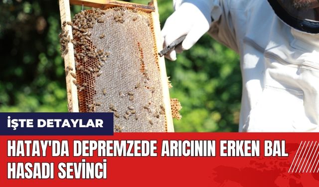 Hatay'da depremzede arıcının erken bal hasadı sevinci