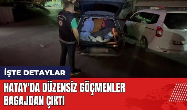 Hatay'da düzensiz göçmenler bagajdan çıktı