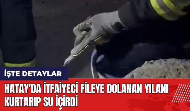 Hatay'da itfaiyeci fileye dolanan yılanı kurtarıp su içirdi