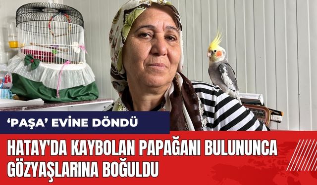 Hatay'da kaybolan papağanı bulununca gözyaşlarına boğuldu