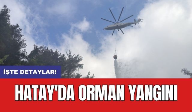 Hatay'da orman yangını