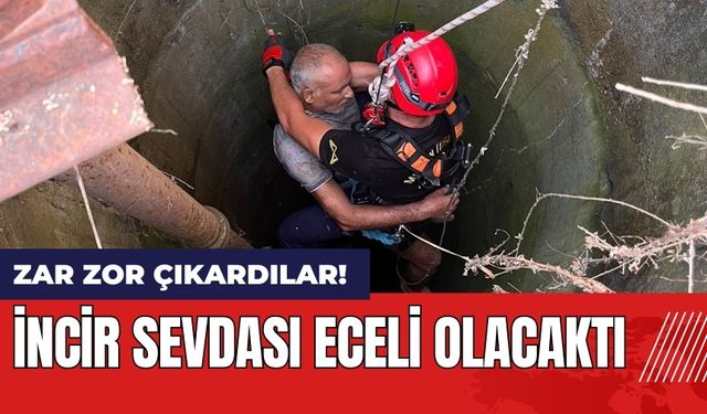 İncir sevdası eceli olacaktı!