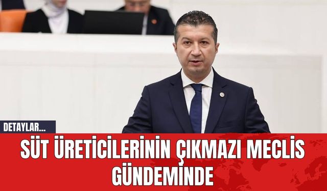 Süt Üreticilerinin Çıkmazı Meclis Gündeminde