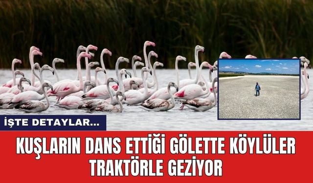 Kuşların  Dans Ettiği Gölette Köylüler Traktörle Geziyor