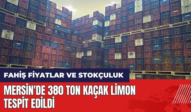 Mersin'de 380 ton kaçak limon tespit edildi