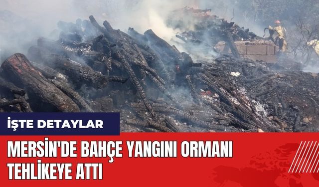 Mersin'de bahçe yangını ormanı tehlikeye attı