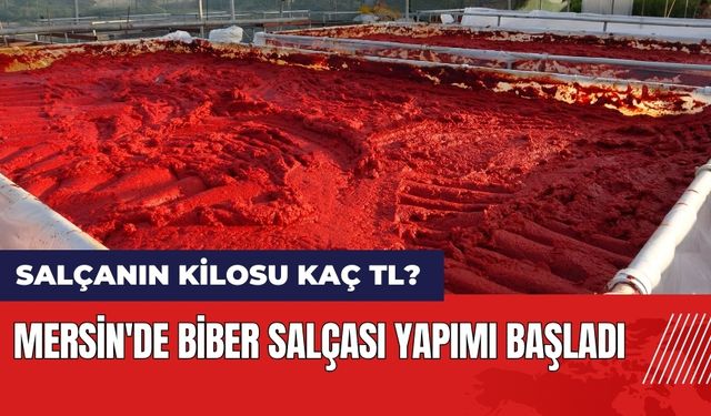 Mersin'de biber salçası yapımı başladı! Salçanın kilosu kaç TL?