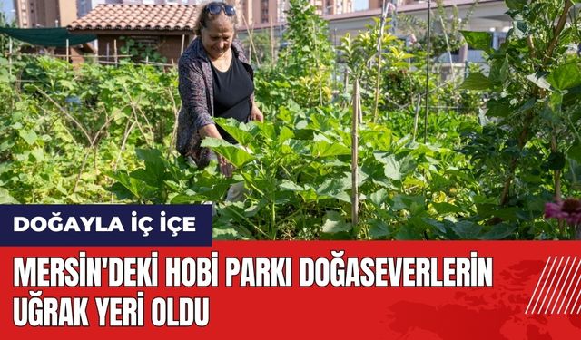 Mersin'deki Hobi Parkı doğaseverlerin uğrak yeri oldu