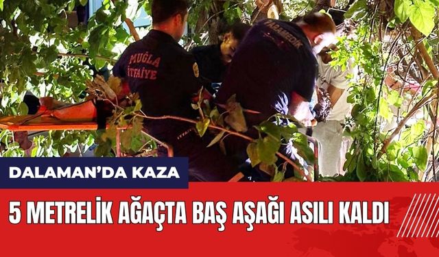 Muğla Dalaman'da motosikletli 5 metrelik ağaçta baş aşağı asılı kaldı