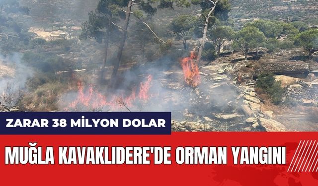 Muğla Kavaklıdere'de orman yangını