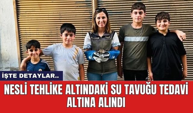 Nesli Tehlike Altındaki Su Tavuğu Tedavi Altına Alındı