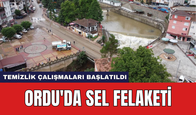 Ordu'da sel felaketi: Temizlik çalışmaları başlatıldı