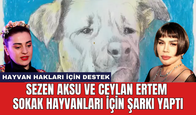 Sezen Aksu ve Ceylan Ertem sokak hayvanları için şarkı yaptı