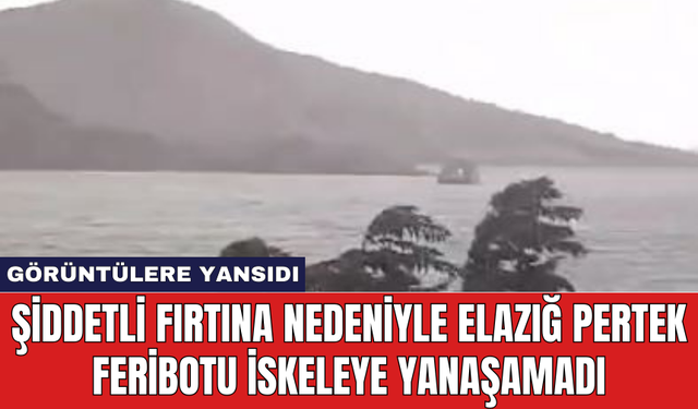 Şiddetli fırtına nedeniyle Elazığ Pertek feribotu iskeleye yanaşamadı