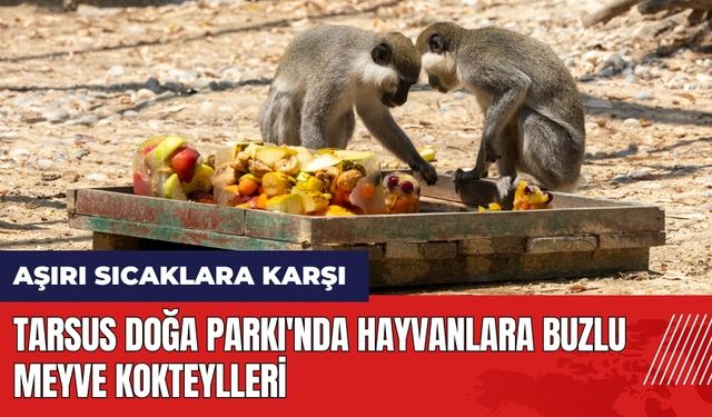 Tarsus Doğa Parkı'nda hayvanlara buzlu meyve kokteylleri