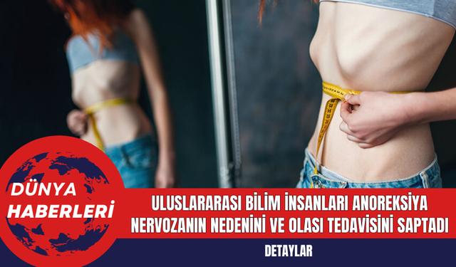 Uluslararası Bilim İnsanları Anoreksiya Nervozanın Nedenini ve Olası Tedavisini Saptadı