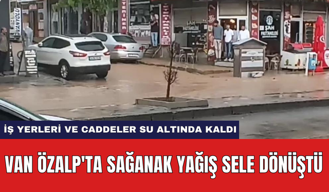 Van Özalp'ta sağanak yağış sele dönüştü