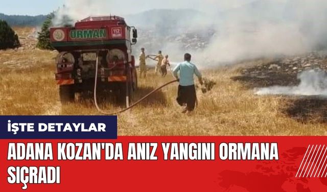 Adana Kozan'da anız yangını ormana sıçradı