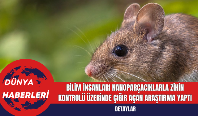 Bilim İnsanları Nanoparçacıklarla Zihin Kontrolü Üzerinde Çığır Açan Araştırma Yaptı