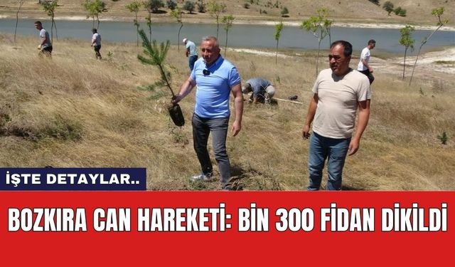 Bozkıra Can Hareketi: Bin 300 Fidan Dikildi