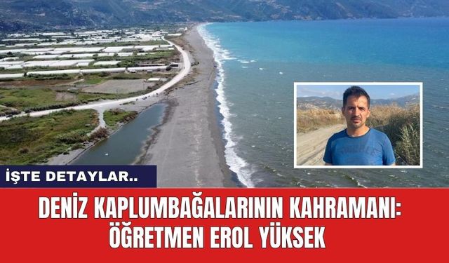 Deniz Kaplumbağalarının Kahramanı: Öğretmen Erol Yüksek