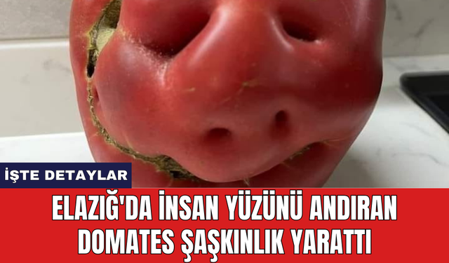 Elazığ'da insan yüzünü andıran domates şaşkınlık yarattı