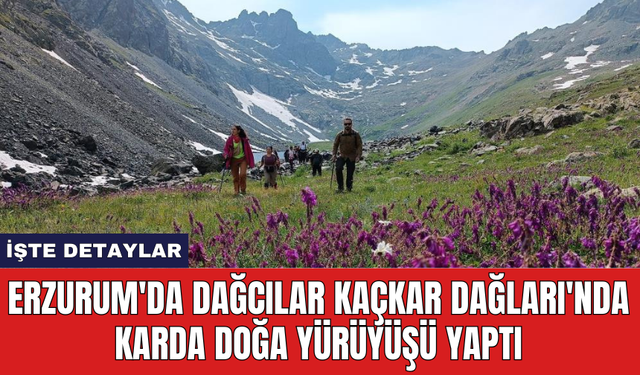 Erzurum'da dağcılar Kaçkar Dağları'nda karda doğa yürüyüşü yaptı