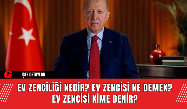 Ev Zenciliği Nedir? Ev Zencisi Ne Demek? Ev zencisi kime denir?