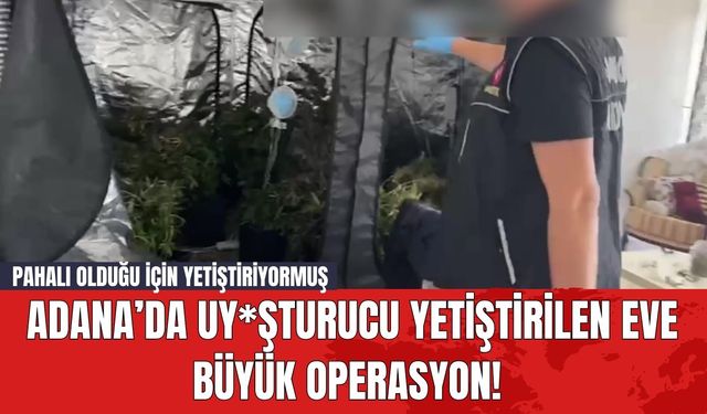 Adana’da Uy*şturucu Yetiştirilen Eve Büyük Operasyon! Pahalı Olduğu İçin Yetiştiriyormuş