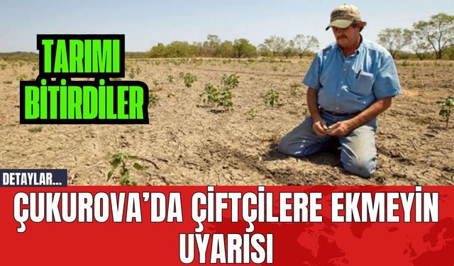 Çukurova’da Çiftçilere Ekmeyin Uyarısı