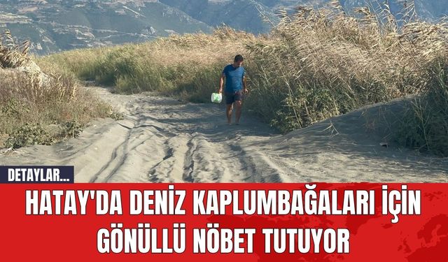 Hatay'da Deniz Kaplumbağaları İçin Gönüllü Nöbet Tutuyor