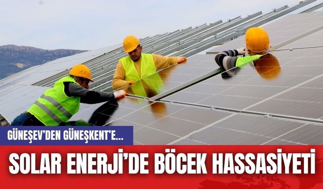 GÜNEŞEV’DEN  GÜNEŞKENT’E… SOLAR ENERJİ’DE BÖCEK HASSASİYETİ