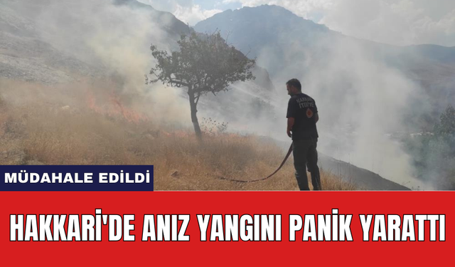 Hakkari'de anız yangını panik yarattı