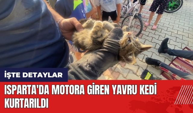 Isparta'da motora giren yavru kedi kurtarıldı