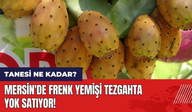 Mersin'de frenk yemişi tezgahta! 1 frenk yemişi kaç lira?