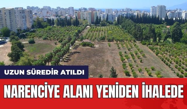 Narenciye Alanı Yeniden İhalede! Uzun Süredir Atıl Durumdaydı