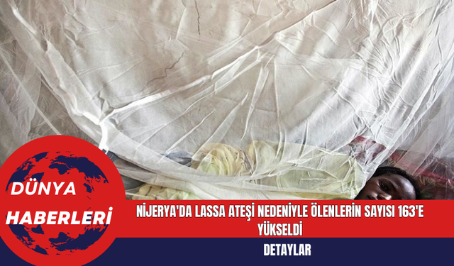 Nijerya'da Lassa Ateşi Nedeniyle Ölenlerin Sayısı 163'e Yükseldi