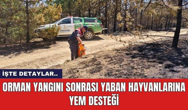 Orman Yangını Sonrası Yaban Hayvanlarına Yem Desteği