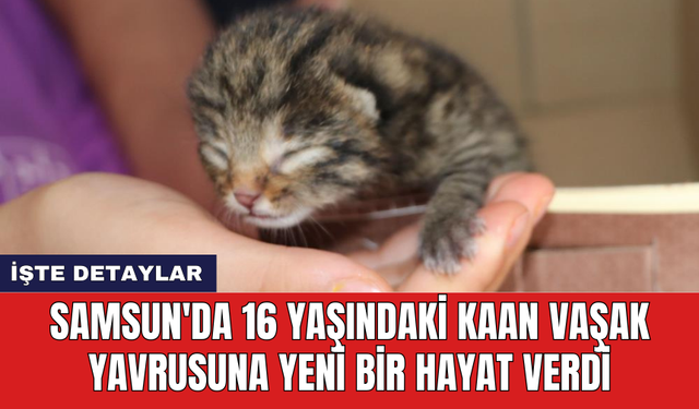 Samsun'da 16 yaşındaki Kaan vaşak yavrusuna yeni bir hayat verdi