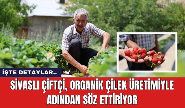 Sivaslı Çiftçi, Organik Çilek Üretimiyle Adından Söz Ettiriyor