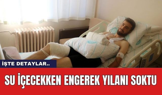 Su İçecekken Engerek Yılanı Soktu