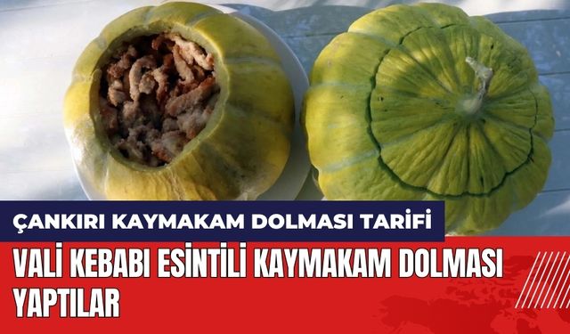 Vali kebabı esintili kaymakam dolması nasıl yapılır? Çankırı Kaymakam dolması tarifi