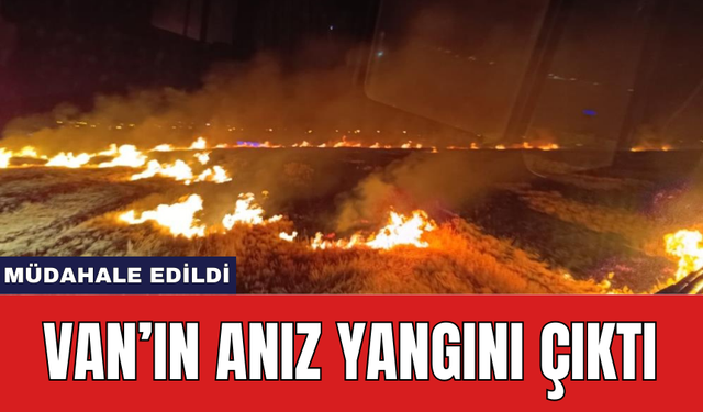 Van’ın anız yangını çıktı