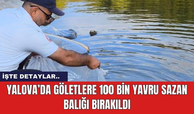 Yalova’da göletlere 100 bin yavru sazan balığı bırakıldı