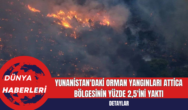 Yunanistan'daki Orman Yangınları Attica Bölgesinin Yüzde 2,5'ini Yaktı