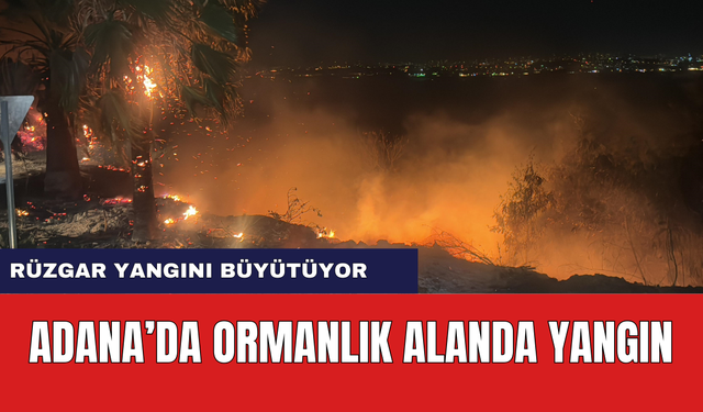 Adana'da Korkutan Orman Yangını! Rüzgar Sebebiyle Yangın Büyüyor