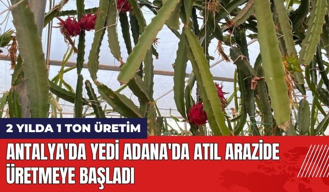 Antalya'da Yedi Adana'da Atıl Arazide Üretmeye Başladı