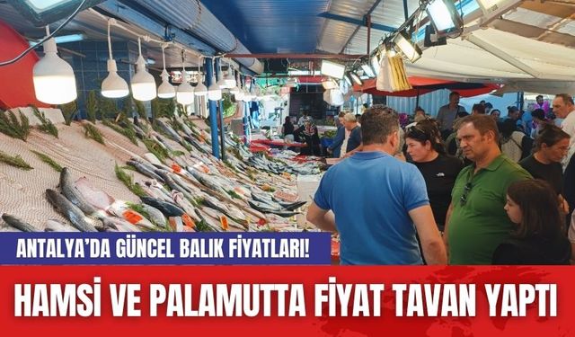 Antalya’da güncel balık fiyatları! Hamsi ve palamutta fiyat tavan yaptı